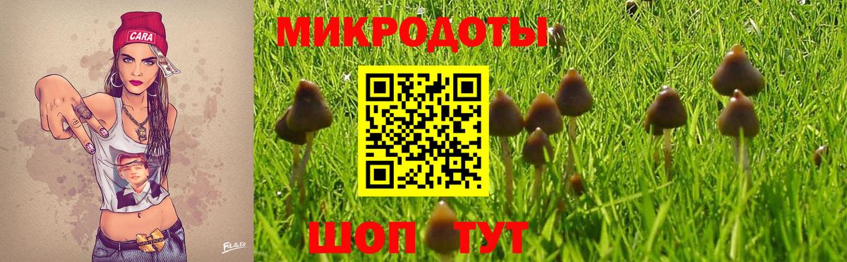 Надым  Псилоцибиновые грибы мицелий  наркота  Вход с VPN  Галлюциногенные грибы Psilocybine cubensis 