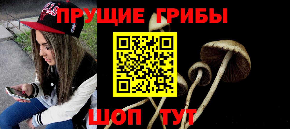 Псилоцибиновые грибы ЛСД Надым